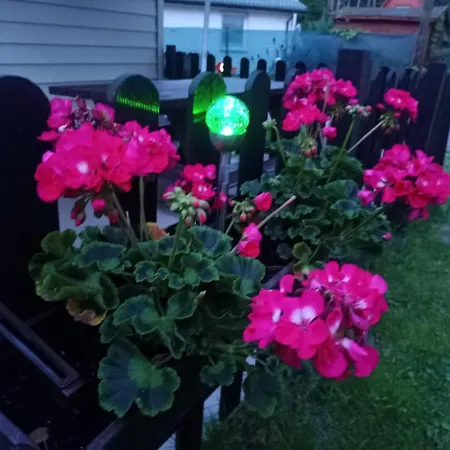 Domek letniskowy Barnaba Pobierowo