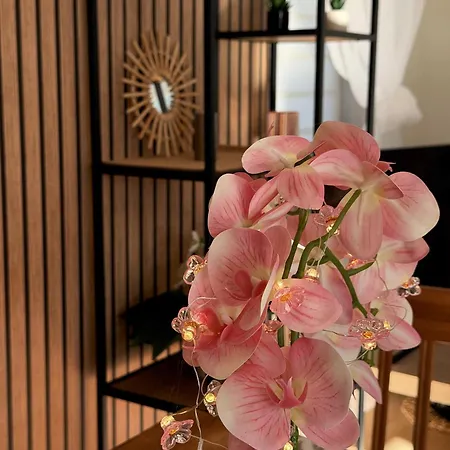 Barnaba 山林小屋
