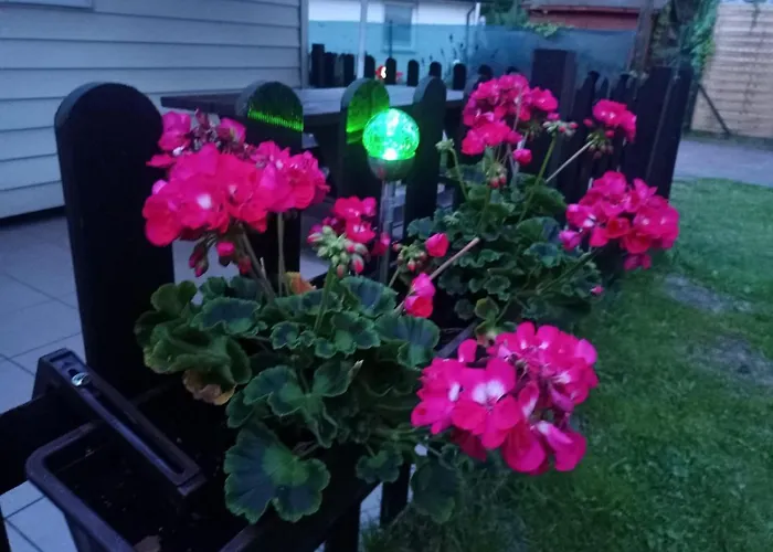 Lodge Barnaba Pobierowo